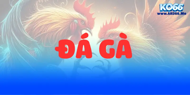 da ga tai ko66 678c8b32c80c1