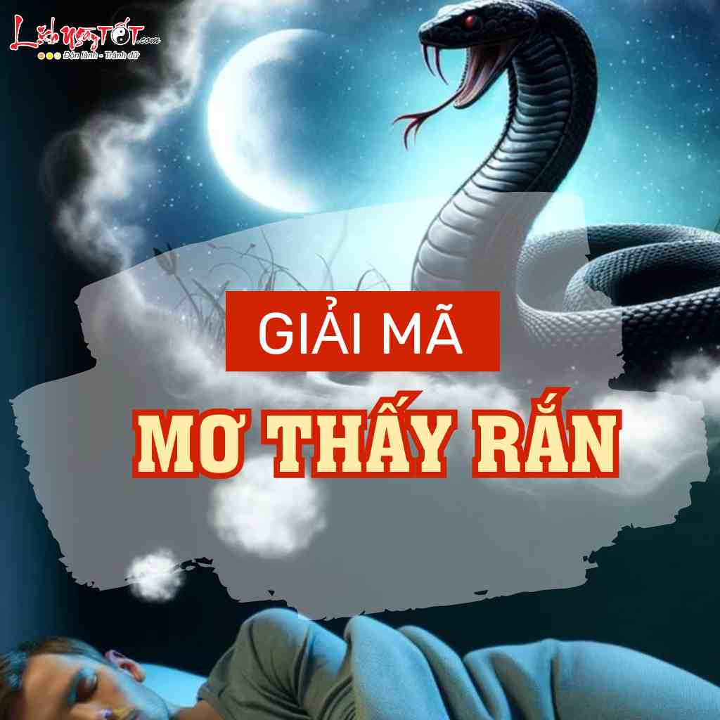 mo thay con ran 67c2f545c02b7