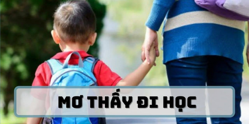 mo thay di hoc 67c2fb85d0cee
